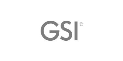 brandsBN__0006_gsi logo